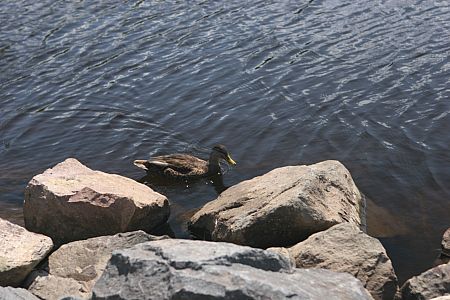 imwa2010_404.JPG