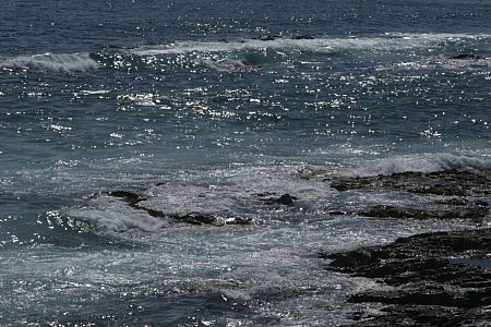 imwa2010_686.jpg